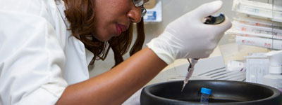 national-cancer-institute-lTlB51-XGP4-400x150-1 Cancer researcher